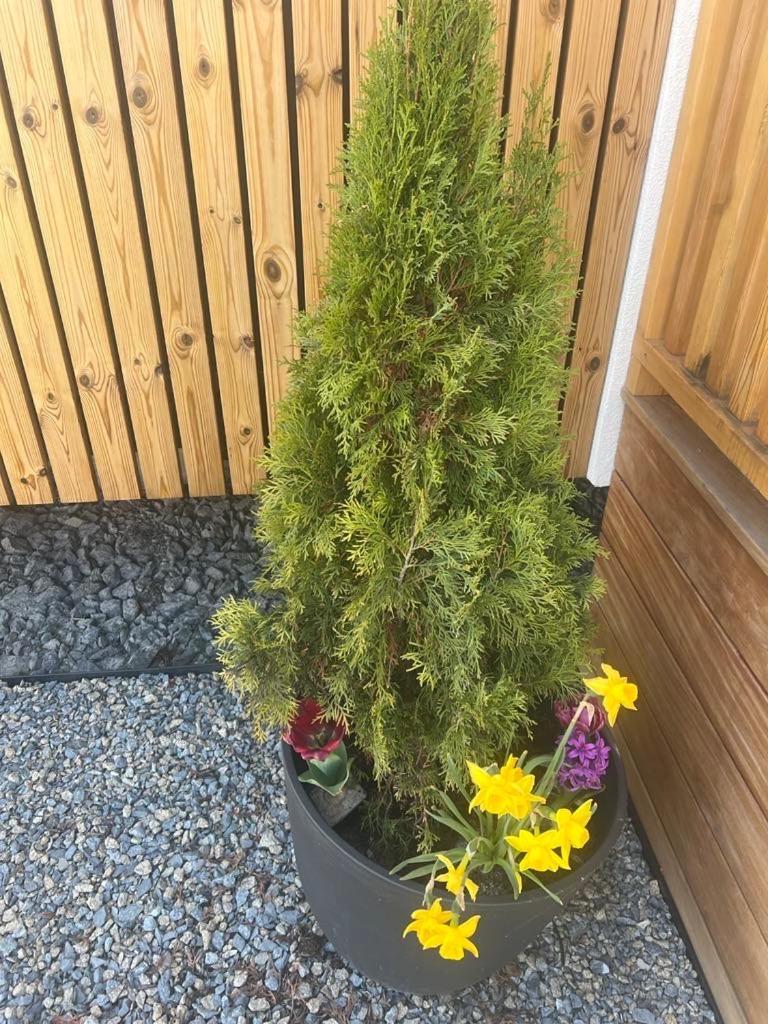 شقة Domcek Pod Vezami S Virivkou A Grilom, Pri Termalnom Kupalisku Liptovský Ján المظهر الخارجي الصورة